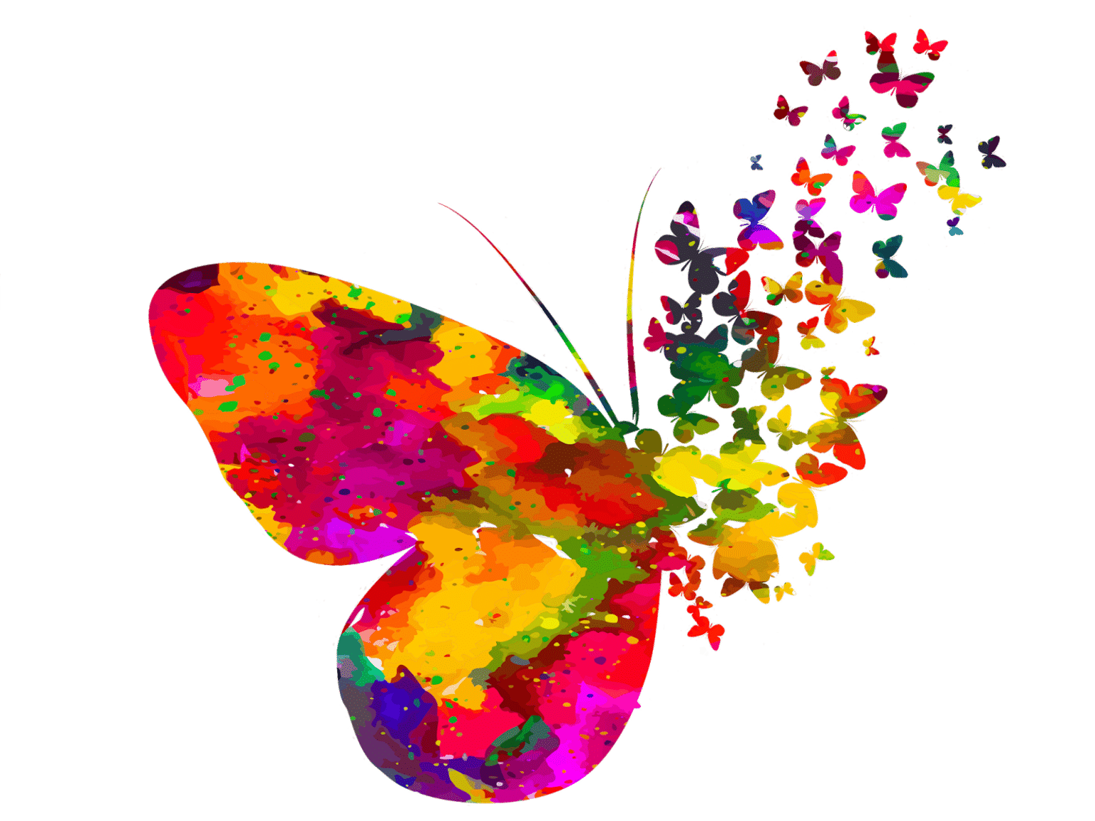Papillon multicolore sur fond blanc. Son aile droite se décompose en milliers de papillons multicolores qui s'envolent vers le haut droit.